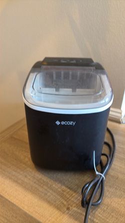 Ice maker