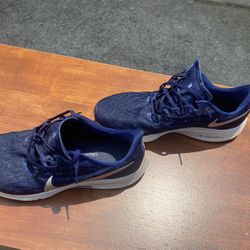 Nike zoom Pegasus 36