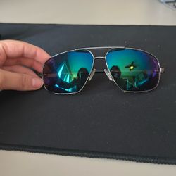 Revo Men’s Sunglasses 