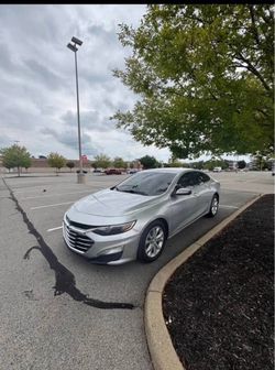 Rental cars for gig workers