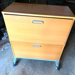 2 file cabinet organizers both 