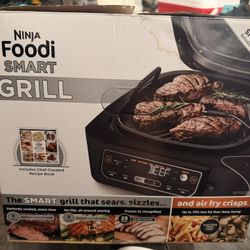 Ninja Foodi Smart Grill 