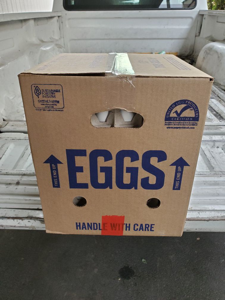 Cajas de huevos