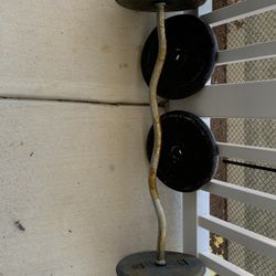 Curl Bar With Four 25lb Plates