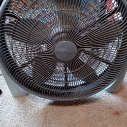 Fan