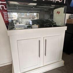 75 gallon tank with accessories