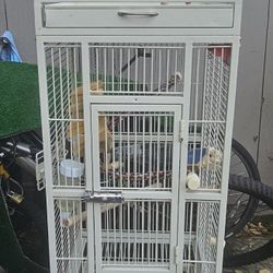 Bird Cage Rolling Stand