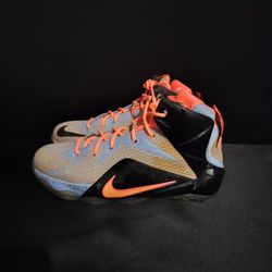 Kids Lebron XII Easter GS Aluminum Sunset Glow Black (Size 5Y)