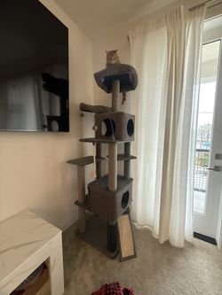 Cat Tree House