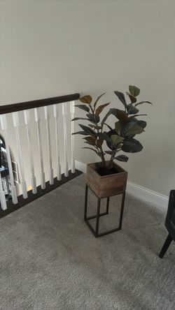 Plant stand- plant