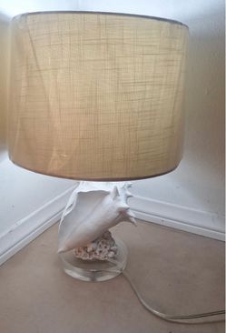 Conch Shell Table Lamp with Drum Shade