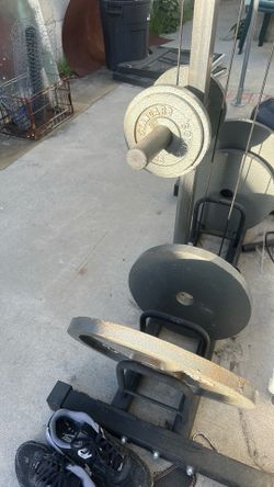 Olympic bar plus weight set