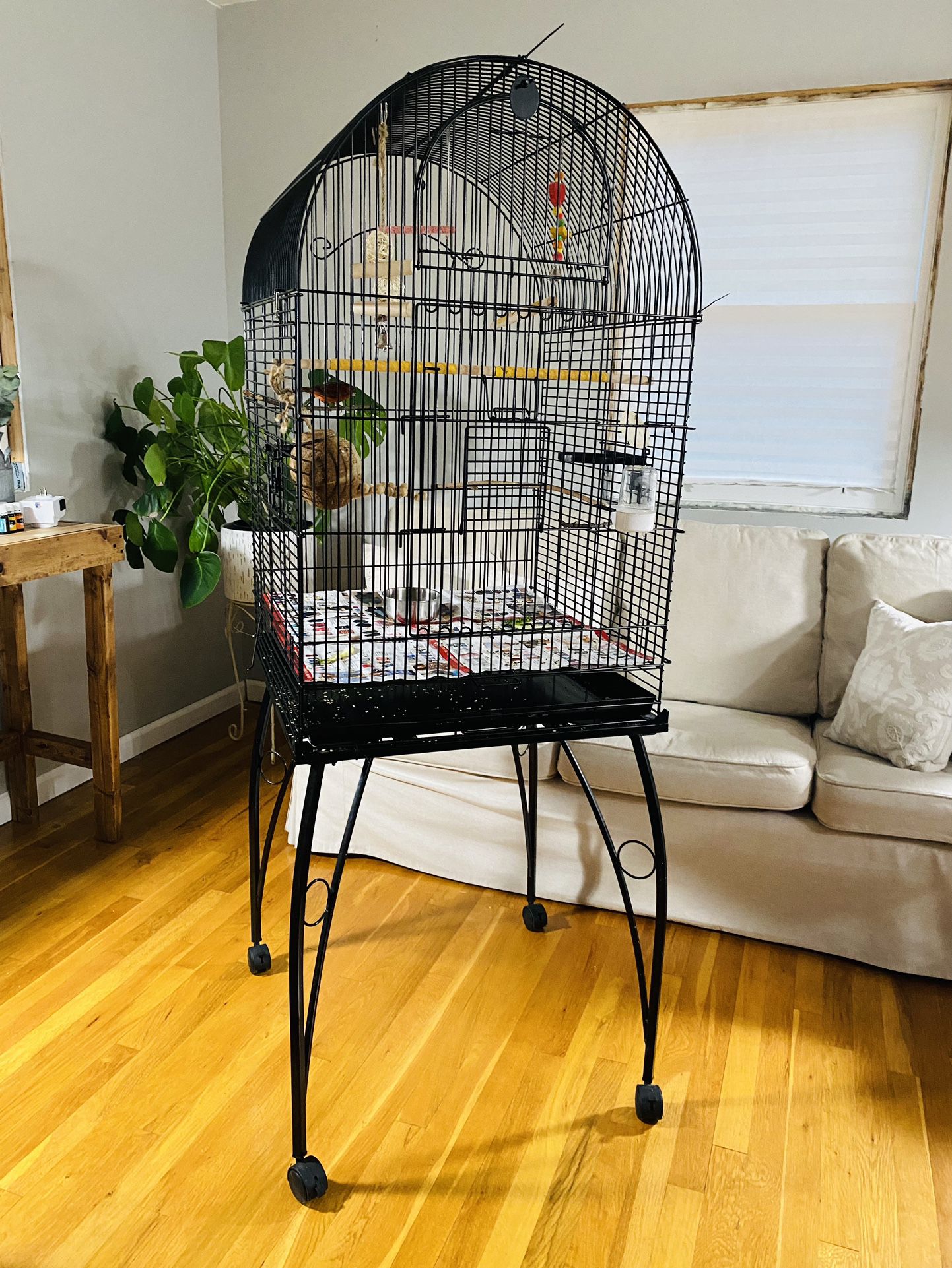 Bird Cage Big