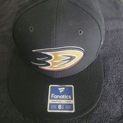 Ducks Hat