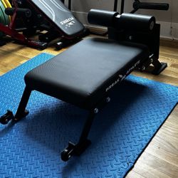 Freak Athlete Nordic Curl Bench