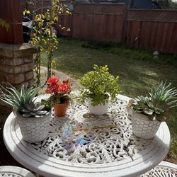 ‼️ First Come First Serve – Trendy Faux Plant Bundle (5 pcs)