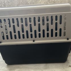 Dog Kennel