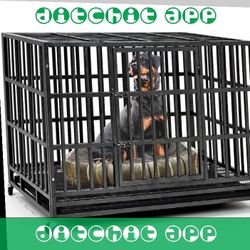 Heavy-Duty Pet Cages - Security and Comfort for Your Animal Buddy approach blood