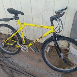 Old School GT Mountain Bike