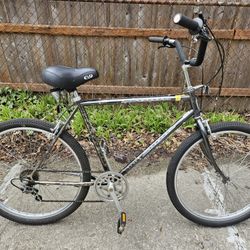 1985 Schwinn Cruiser Supreme, 5 speed, 21" frame

