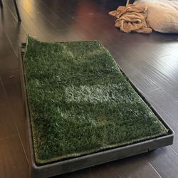 Porch Potty For Dogs