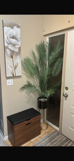Planta cuadro y zapatera