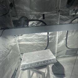 4x8 Gorilla Grow Tent Plus Ac Infinity And Lights 