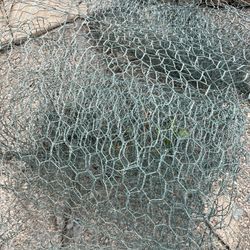 Chicken Wire - Free!