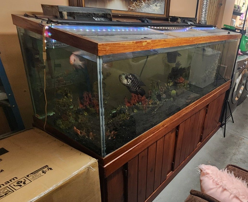 180 Gallon Fish Tank