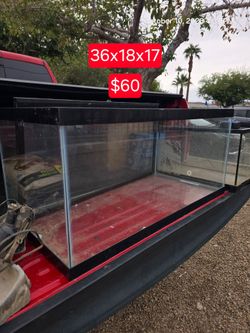 Tanks, Lamps, Water dish, and Hide