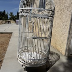 Antique Birdcage