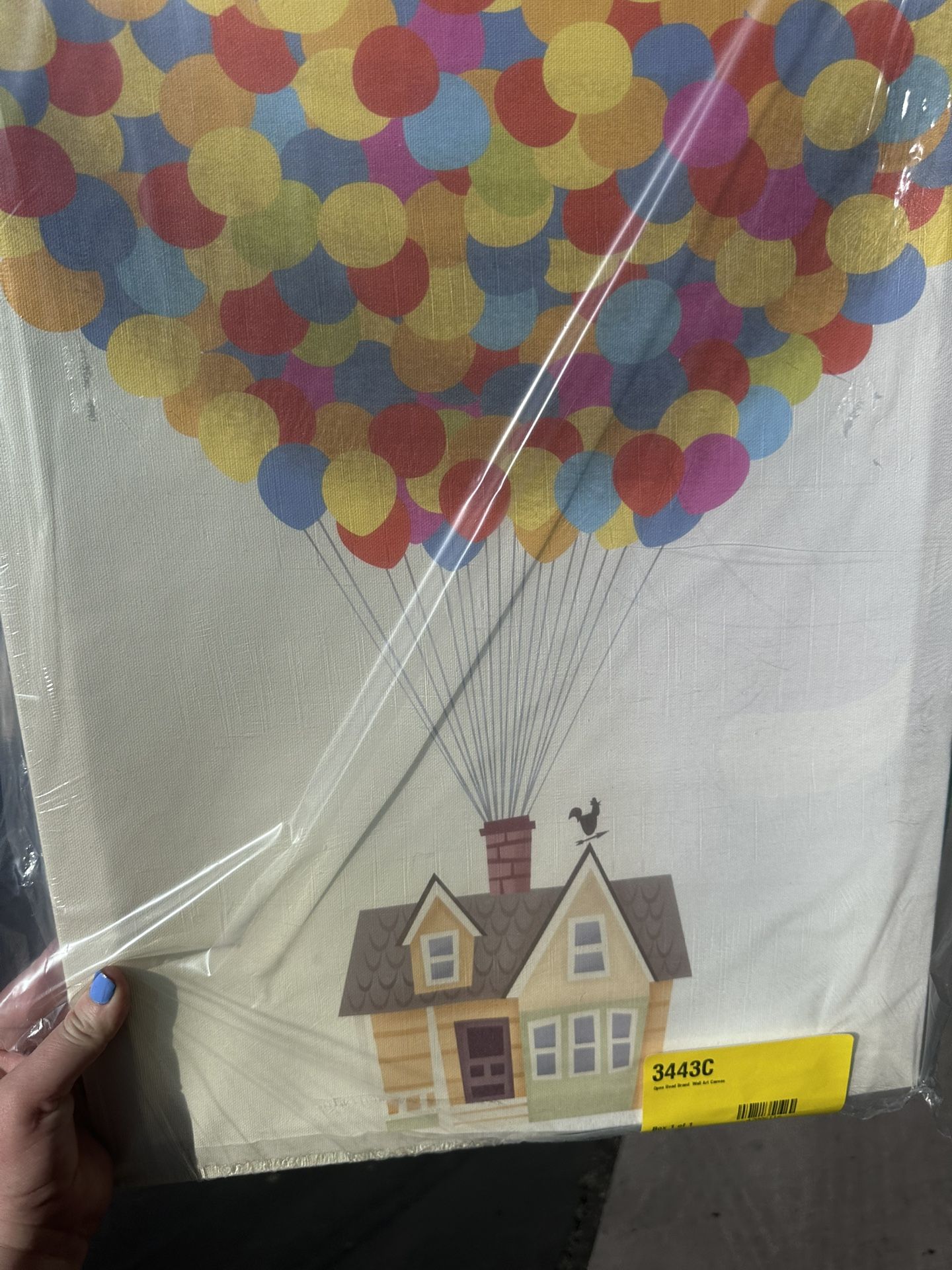 Disney Up House Balloon Canvas