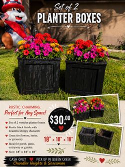 Set of 2 Rustic Black Planter Boxes