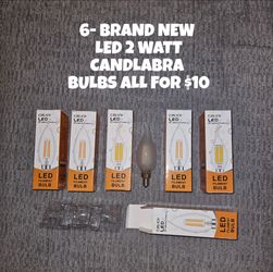 6- LED CANDLABRA BULBS