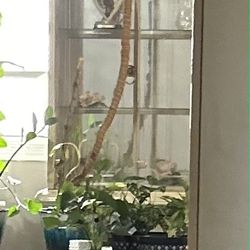 Beautiful China Cabinet