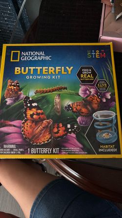 Butterflies Growing Kit