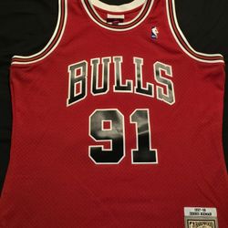 Dennis Rodman #91 Chicago Bulls Mitchell & Ness Hwc Swingman Jersey Size Large /L 