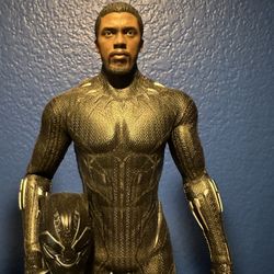 Hot Toys Black Panther Figure Set Exclusive !