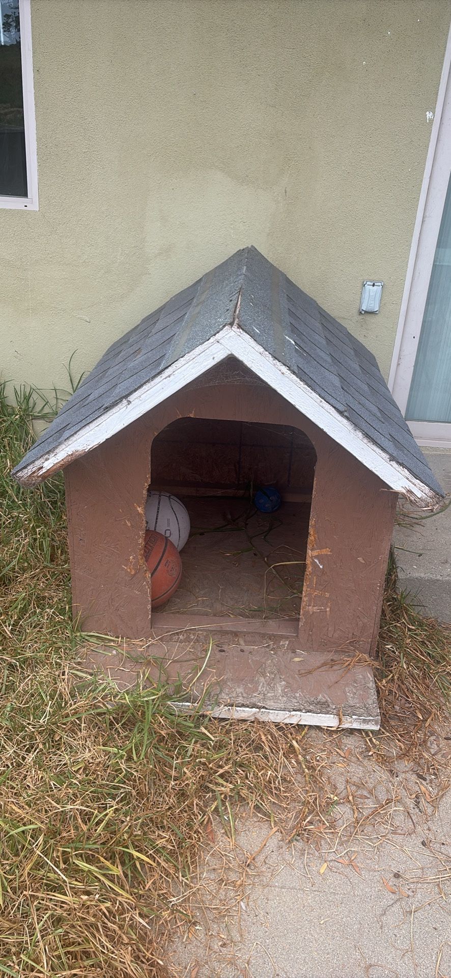 Dog House