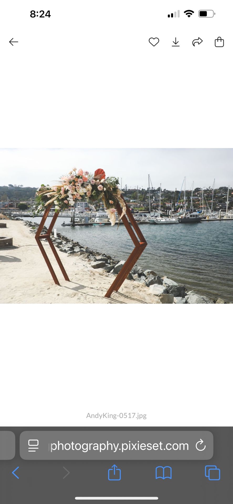 Wedding Arch and Sign Stands