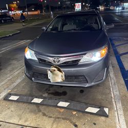 Toyota Camry 189 Millas 