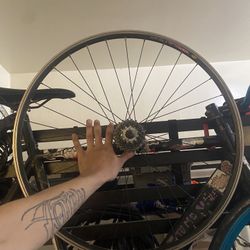 Trade This 7 Speed Mavic For A Fixie Rim? 