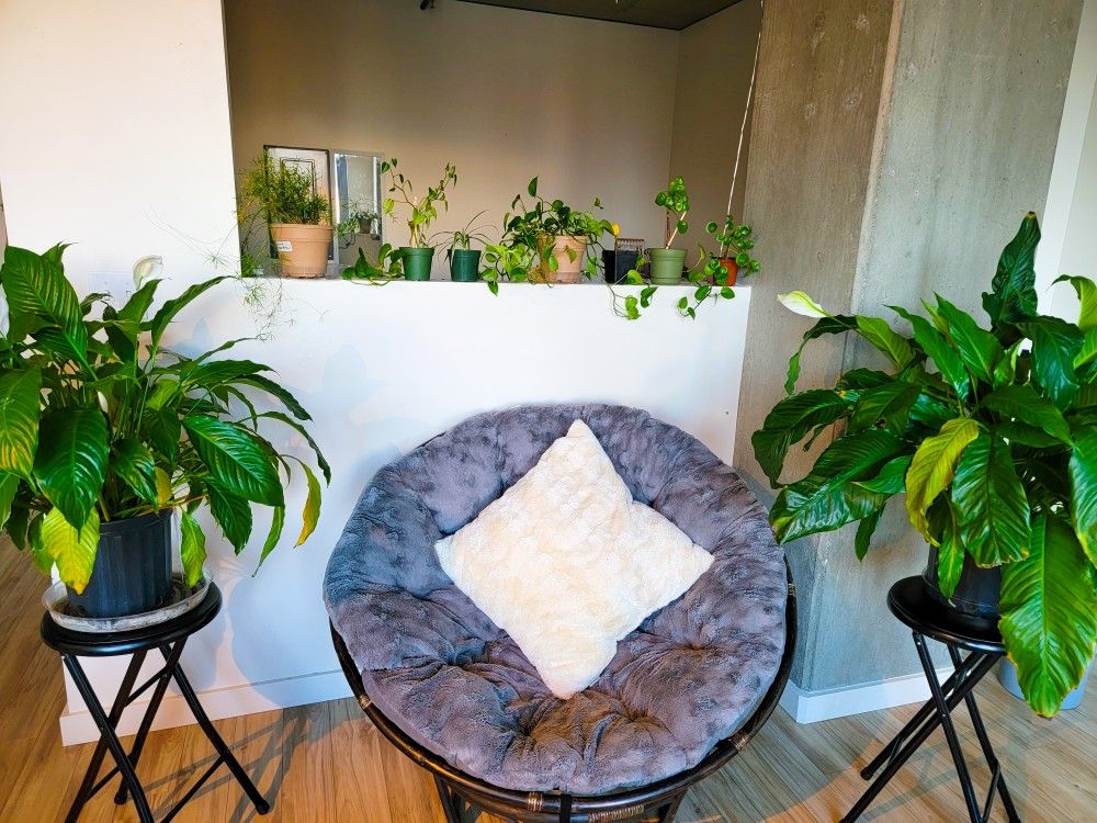Pier 1 Papasan Chair + CUSHION