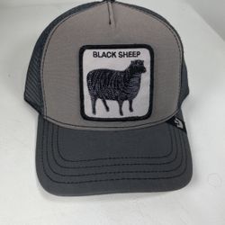 Black Sheep Goorin bros adjustable hat 🧢