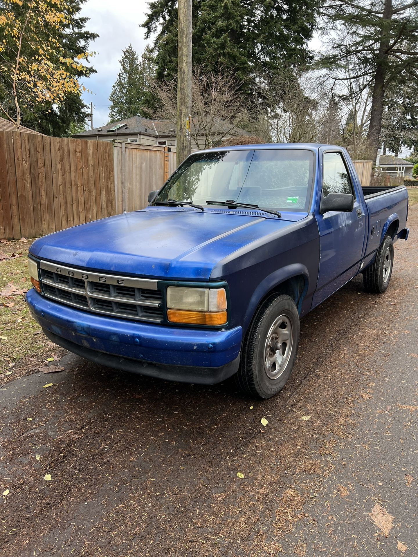 1996 Dodge Dakota For Sale