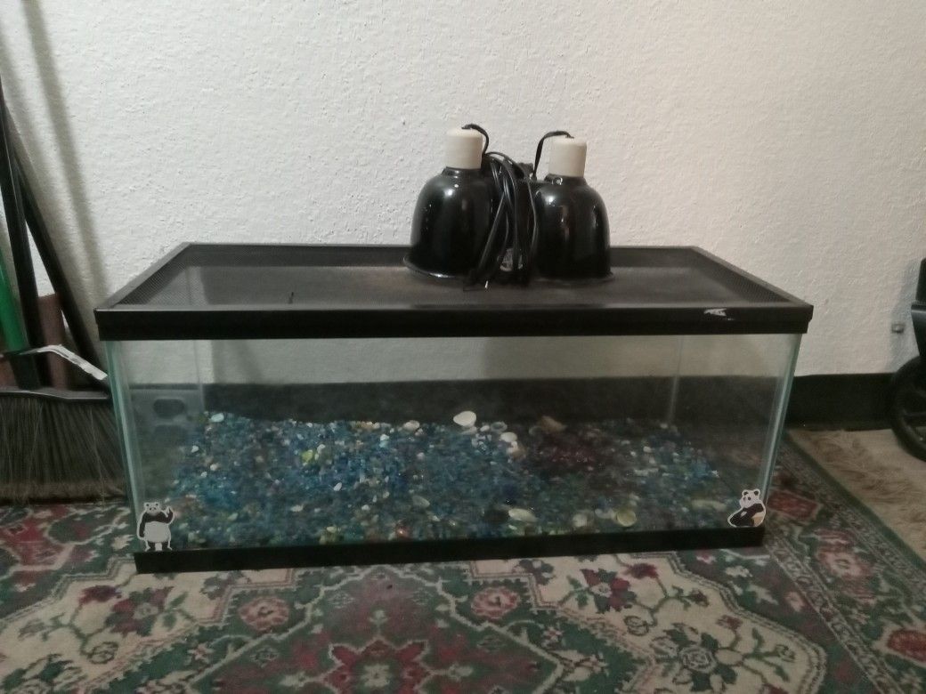 Fish Or Reptile Tank