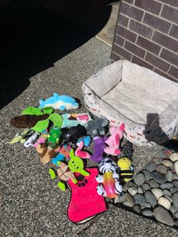 Dog bed with toys