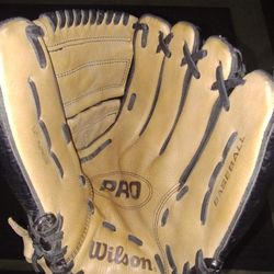 Wilson Pro 12 In Baseball Glove
