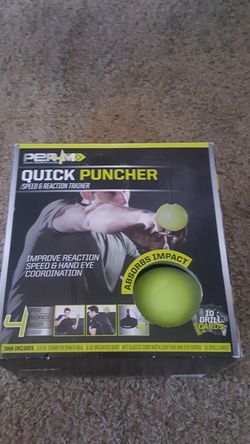 Quick puncher for training