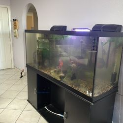 Fish tank & Stand 